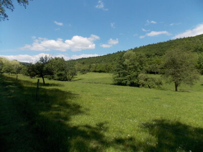 Marche populaire d'Osenbach dans le haut rhin le 31/05/2014, DSCN1253