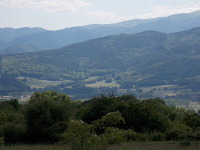 Marche populaire d'Osenbach dans le haut rhin le 31/05/2014, DSCN1258