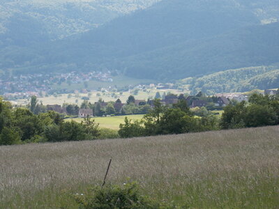 Marche populaire d'Osenbach dans le haut rhin le 31/05/2014, DSCN1260