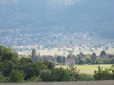 Marche populaire d'Osenbach dans le haut rhin le 31/05/2014, DSCN1261