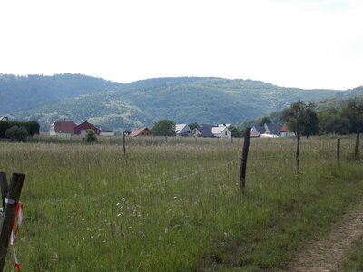 Marche populaire d'Osenbach dans le haut rhin le 31/05/2014, DSCN1265