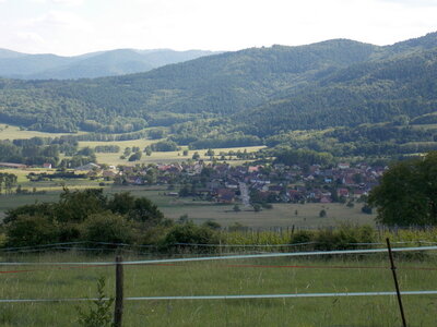 Marche populaire d'Osenbach dans le haut rhin le 31/05/2014, DSCN1278