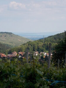 Marche populaire d'Osenbach dans le haut rhin le 31/05/2014, DSCN1281