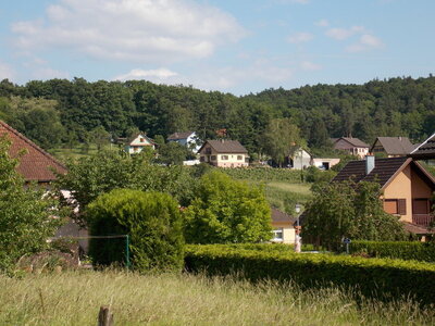 Marche populaire d'Osenbach dans le haut rhin le 31/05/2014, DSCN1283