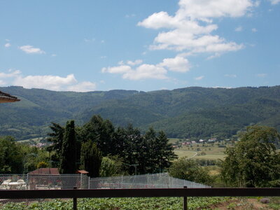 Marche populaire d'Osenbach dans le haut rhin le 31/05/2014, DSCN1213