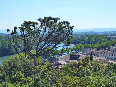 Lubéron mai 2014, 11-Avignon_11