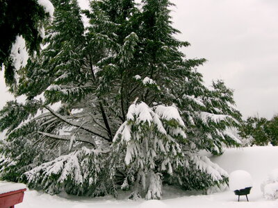 Mars 2013 Neige sur Lindbergh, Hiver Mars 2013 6