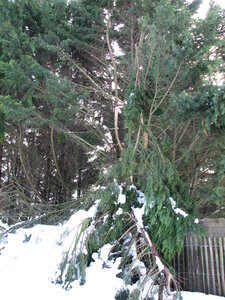 Mars 2013 Neige sur Lindbergh, Hiver Mars 2013 9
