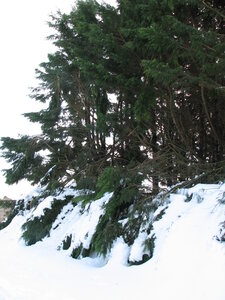 Mars 2013 Neige sur Lindbergh, Hiver Mars 2013 10