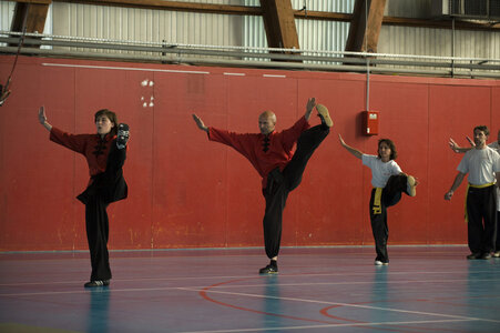2014-05 - Demo Fête des Arts Martiaux à Tassin (18 mai), KUN_8057