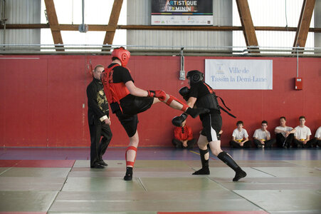 2014-05 - Demo Fête des Arts Martiaux à Tassin (18 mai), KUN_8120