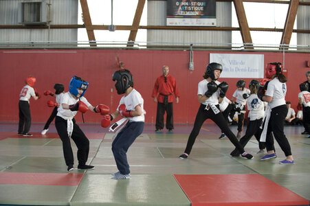 2014-05 - Demo Fête des Arts Martiaux à Tassin (18 mai), KUN_8280