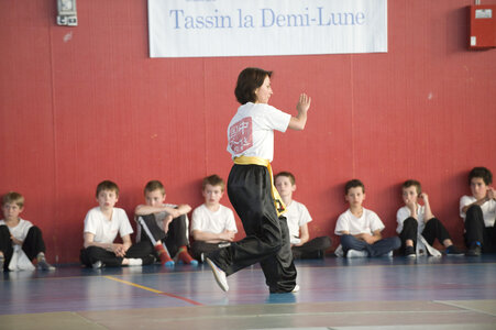 2014-05 - Demo Fête des Arts Martiaux à Tassin (18 mai), KUN_8343
