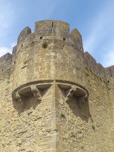 Languedoc Mai 2014 / Carcassonne, DSC_0687