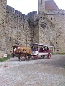 Languedoc Mai 2014 / Carcassonne, DSC_0721