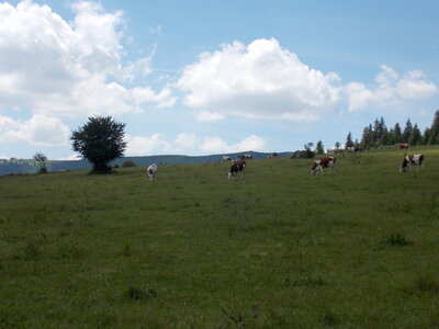 Gueberschwhir son cloitre et LAC noir LAC de Forlet dit des truites et Lac Blanc, DSCN1330