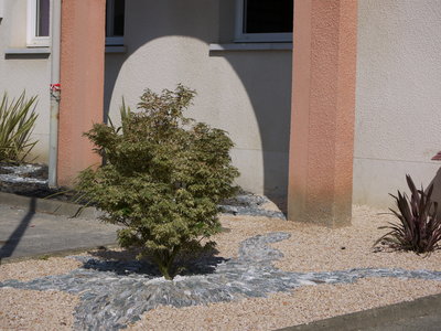sauvagnon fleurissement 20-06-2014, P1010738