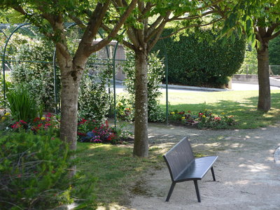 sauvagnon fleurissement 20-06-2014, P1010744