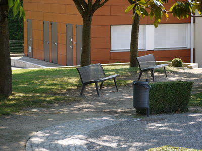 sauvagnon fleurissement 20-06-2014, P1010745