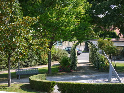 sauvagnon fleurissement 20-06-2014, P1010749