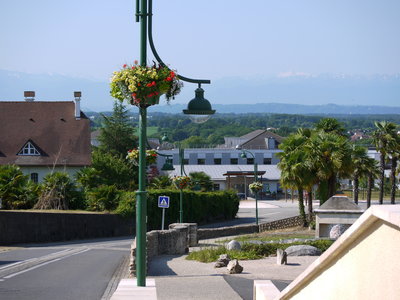 sauvagnon fleurissement 20-06-2014, P1010755
