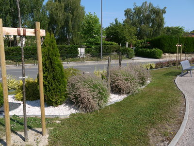 sauvagnon fleurissement 20-06-2014, P1010758