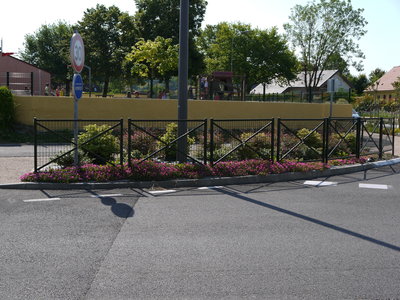 sauvagnon fleurissement 20-06-2014, P1010759
