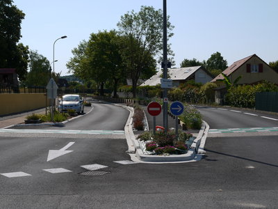 sauvagnon fleurissement 20-06-2014, P1010760