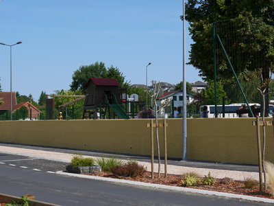 sauvagnon fleurissement 20-06-2014, P1010773