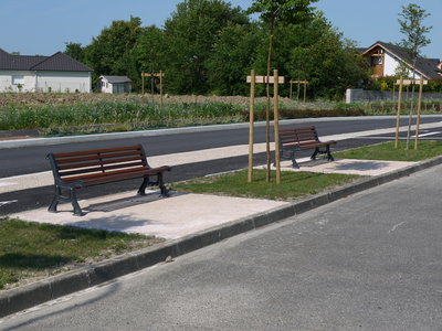 sauvagnon fleurissement 20-06-2014, P1010780