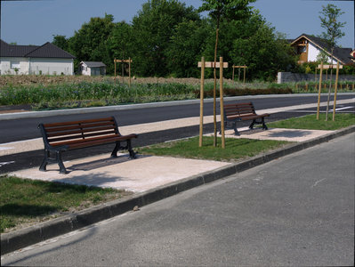 sauvagnon fleurissement 20-06-2014, P1010780