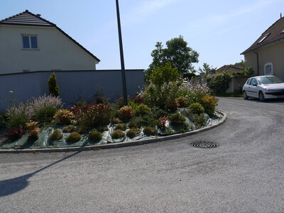 sauvagnon fleurissement 20-06-2014, P1010784