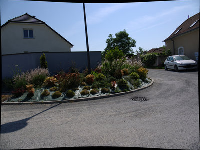 sauvagnon fleurissement 20-06-2014, P1010784