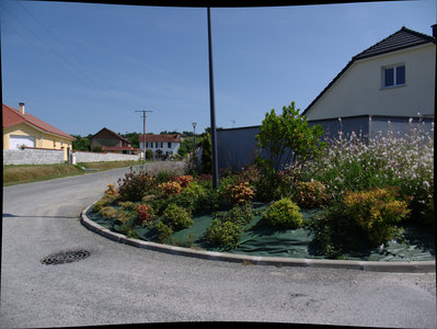 sauvagnon fleurissement 20-06-2014, P1010785