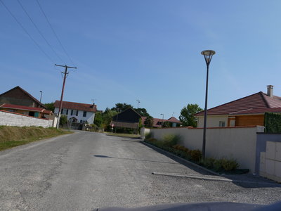 sauvagnon fleurissement 20-06-2014, P1010787