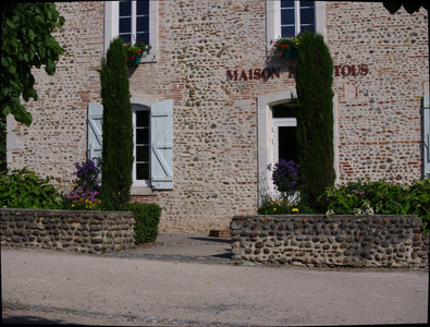 sauvagnon fleurissement 20-06-2014, P1010730