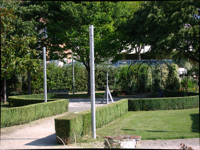 sauvagnon fleurissement 20-06-2014, P1010732