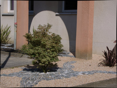 sauvagnon fleurissement 20-06-2014, P1010738