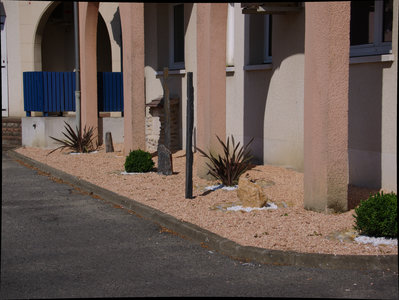 sauvagnon fleurissement 20-06-2014, P1010741