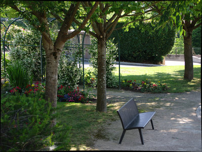 sauvagnon fleurissement 20-06-2014, P1010744