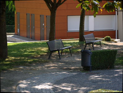 sauvagnon fleurissement 20-06-2014, P1010745