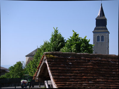 sauvagnon fleurissement 20-06-2014, P1010746
