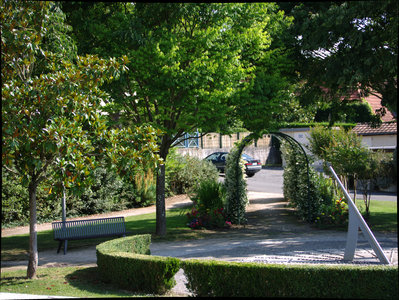 sauvagnon fleurissement 20-06-2014, P1010749