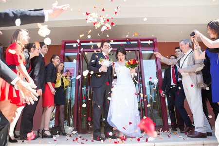 Mariage 3 mai 2014, gwen et david dvd-73
