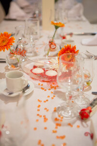 Mariage 3 mai 2014, gwen et david dvd-304