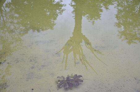 Les escapades de Fanfan : Le Festival International des Jardins à Chaumont sur Loire, DSC_0134