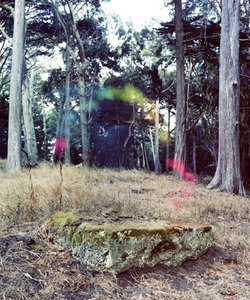 Brice Bischoff, Bischoff_ColorOverRock