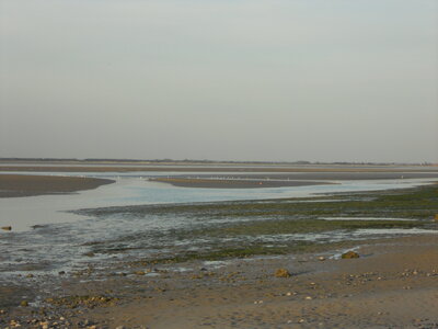 BAIE DE SOMME, BAIE DE SOMME 2011 084