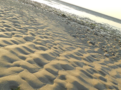 BAIE DE SOMME, BAIE DE SOMME 2011 083
