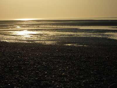 BAIE DE SOMME, BAIE DE SOMME 2011 038
